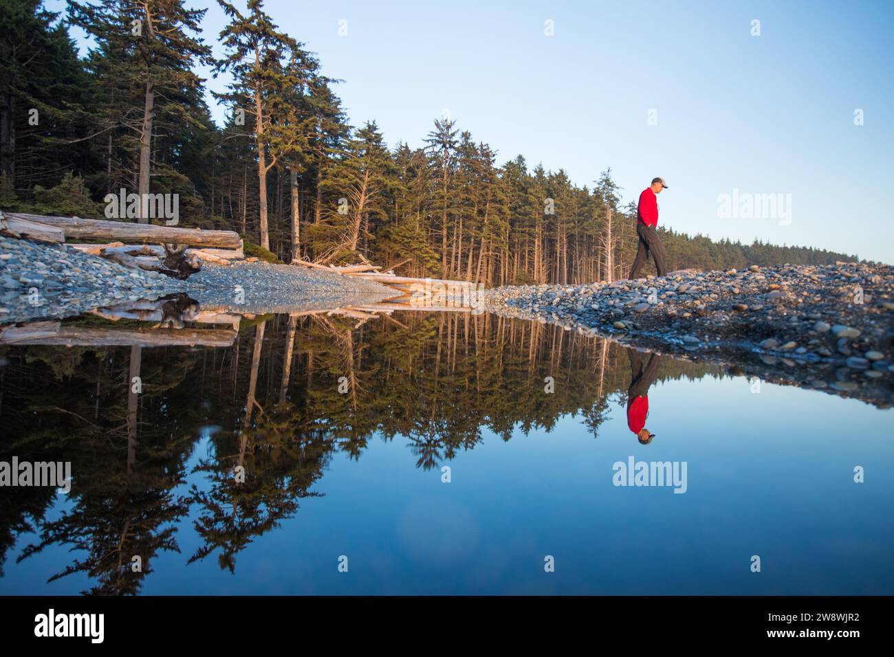 Riflesso dell'uomo che fa trekking a Cedar Creek nell'Olympic National Park Foto Stock