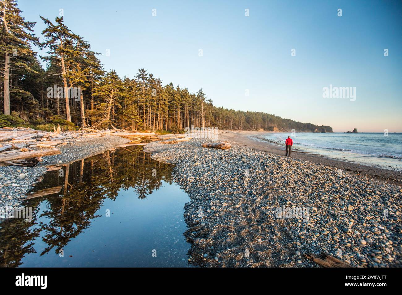 Uomo in camicia rossa in visita alla spiaggia remota del Parco Nazionale Olimpico Foto Stock