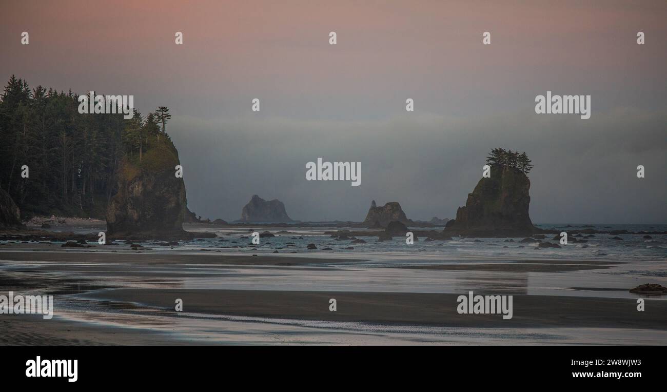 Mattinata lunosa sulla spiaggia dell'Olympic National Park Foto Stock