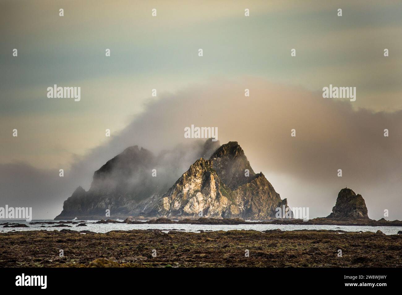 Vista panoramica sulla pila del mare piena di nebbia mattutina, Foto Stock