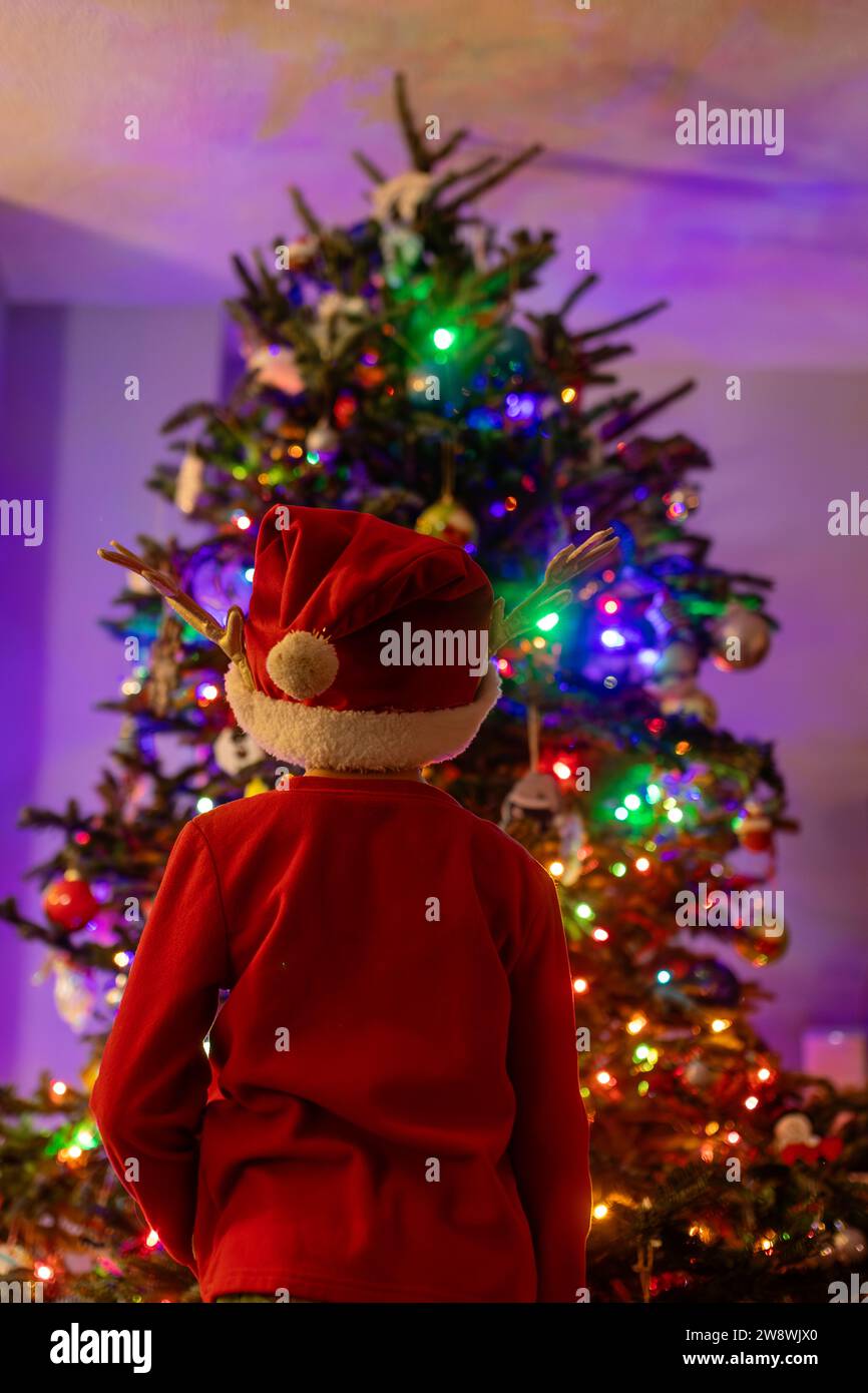 Immagine verticale di un bambino che guarda un albero di natale illuminato Foto Stock