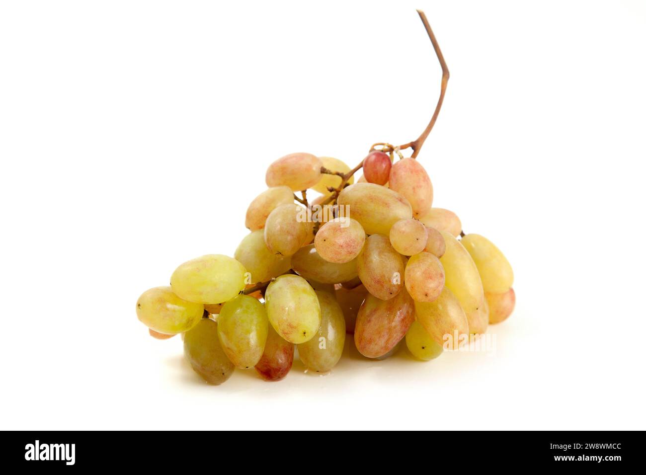 Grappolo di uva da vino rosa con ombra soffice isolata su fondo bianco. Foto Stock