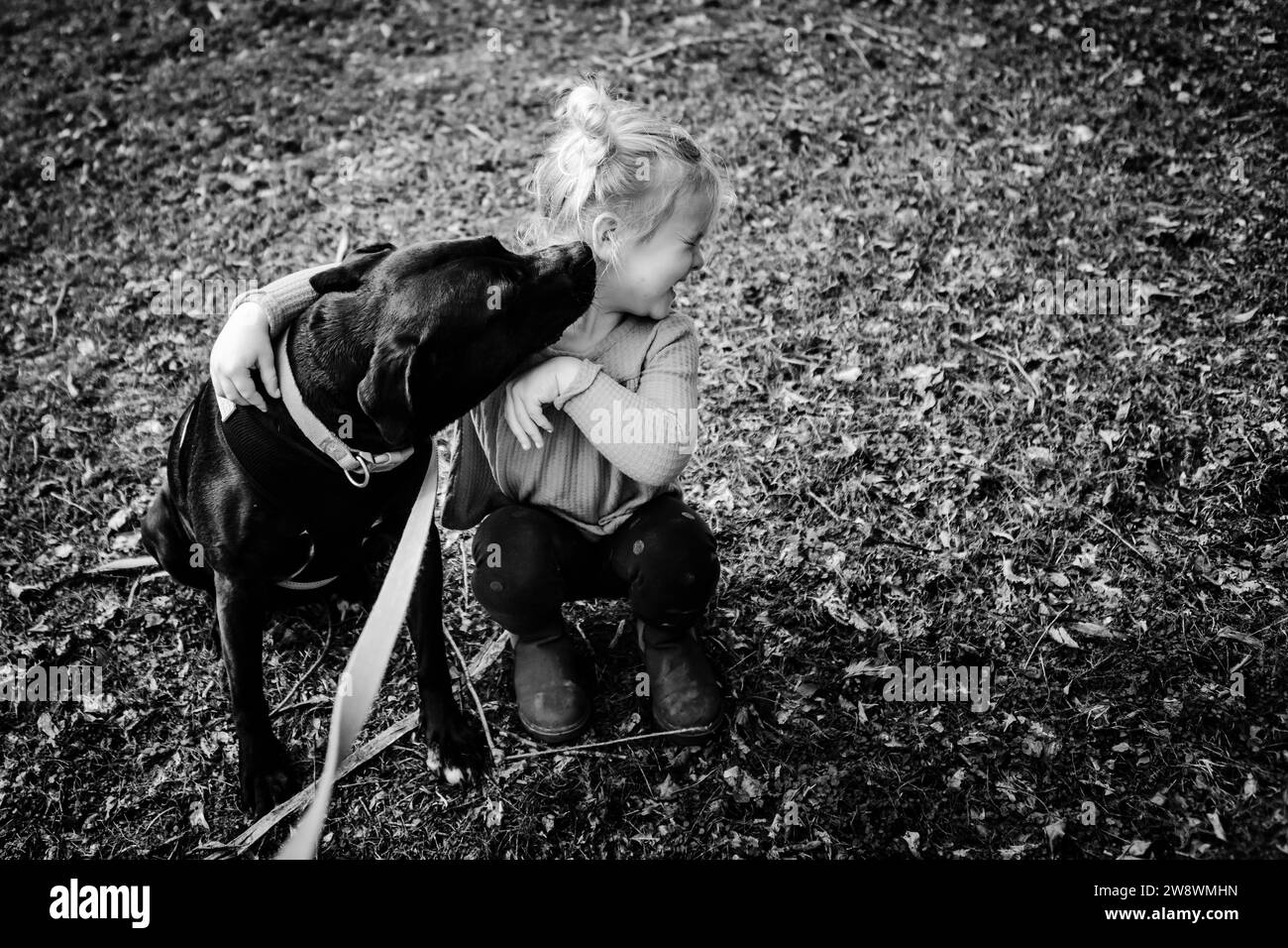 Giocherellando il bambino che riceve baci dal cane di salvataggio Foto Stock