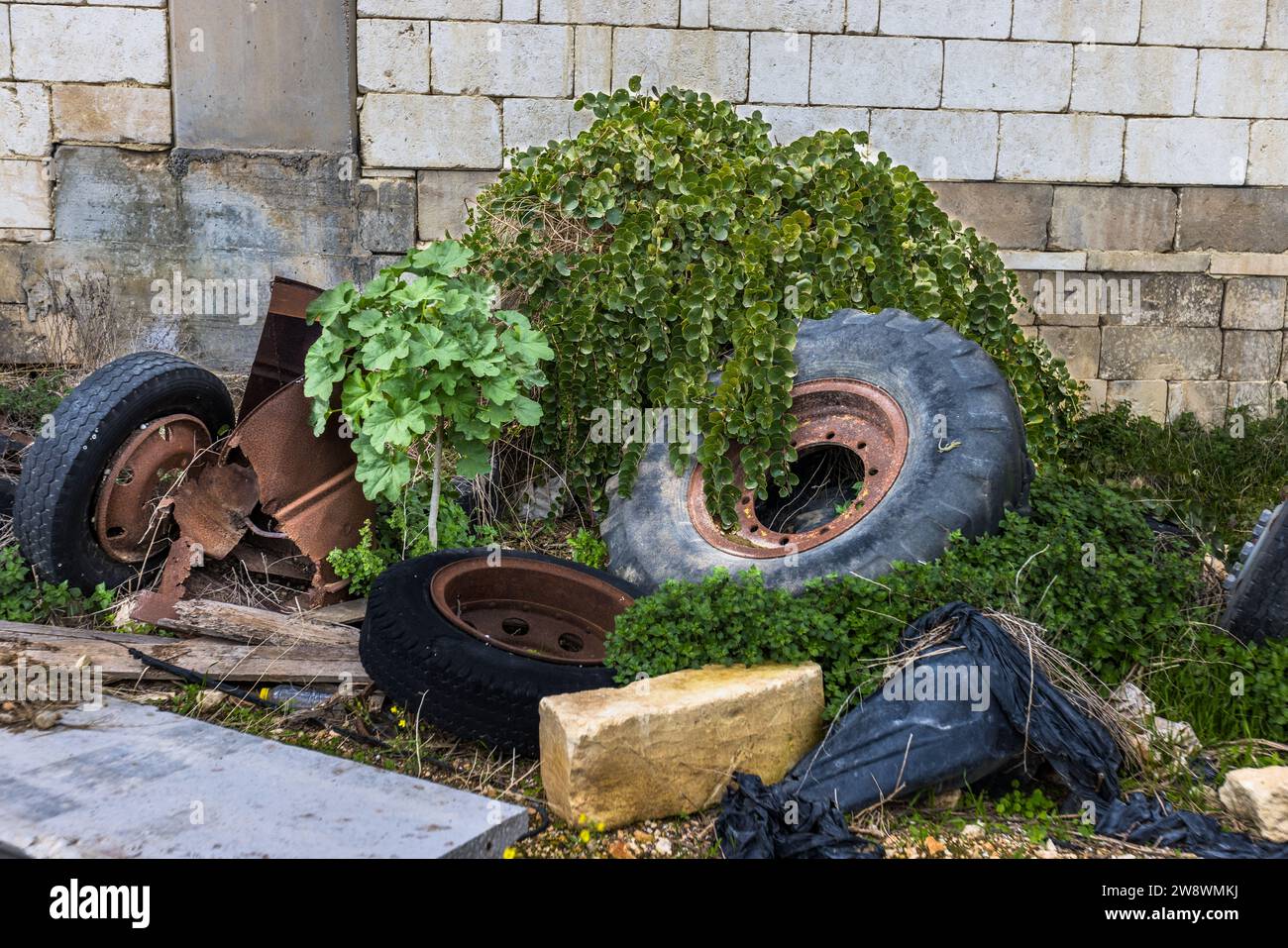 Pneumatici arrugginiti di trattore e parti metalliche ai margini della fattoria agrituristica Tuta a Kerċem, Gozo, Malta, sono ricoperte da piante selvatiche. Foto Stock