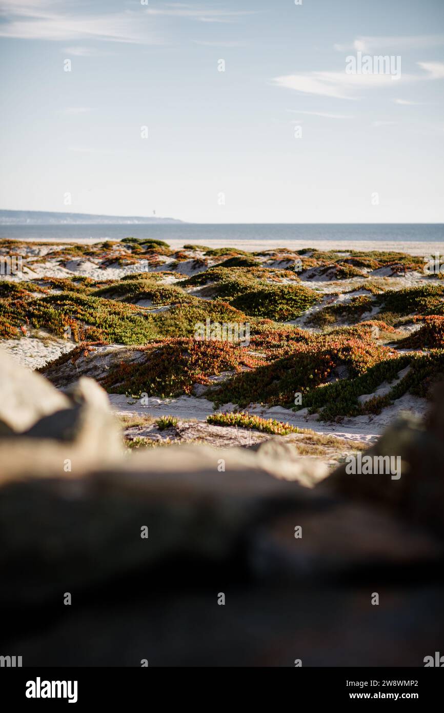 Coronado Beach al tramonto a San Diego Foto Stock