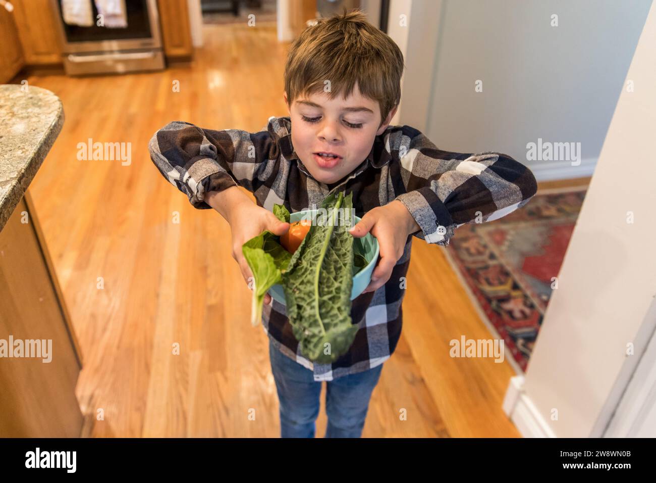 ragazzo che tiene cavolo e pomodori che ha cresciuto Foto Stock