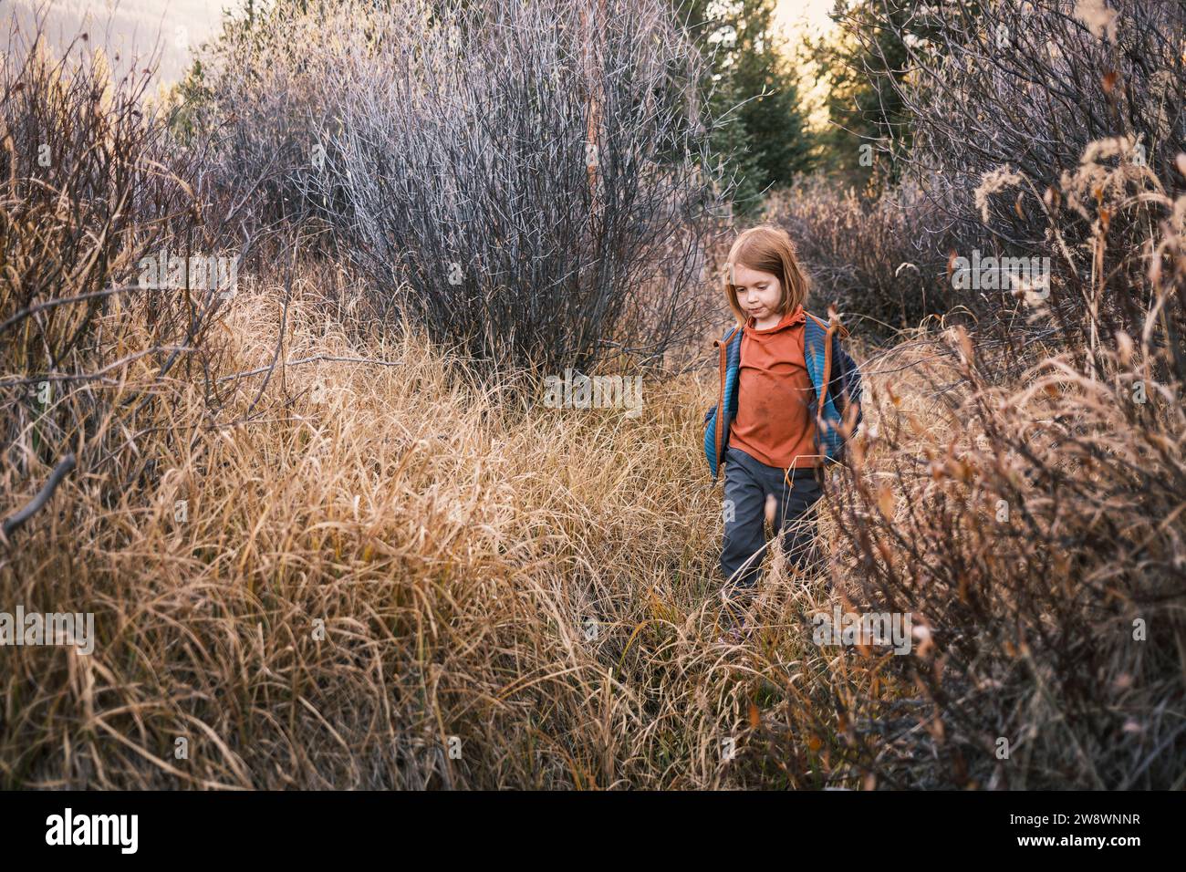 Bambino in piedi in un campo di salici durante l'autunno, Colorado Foto Stock