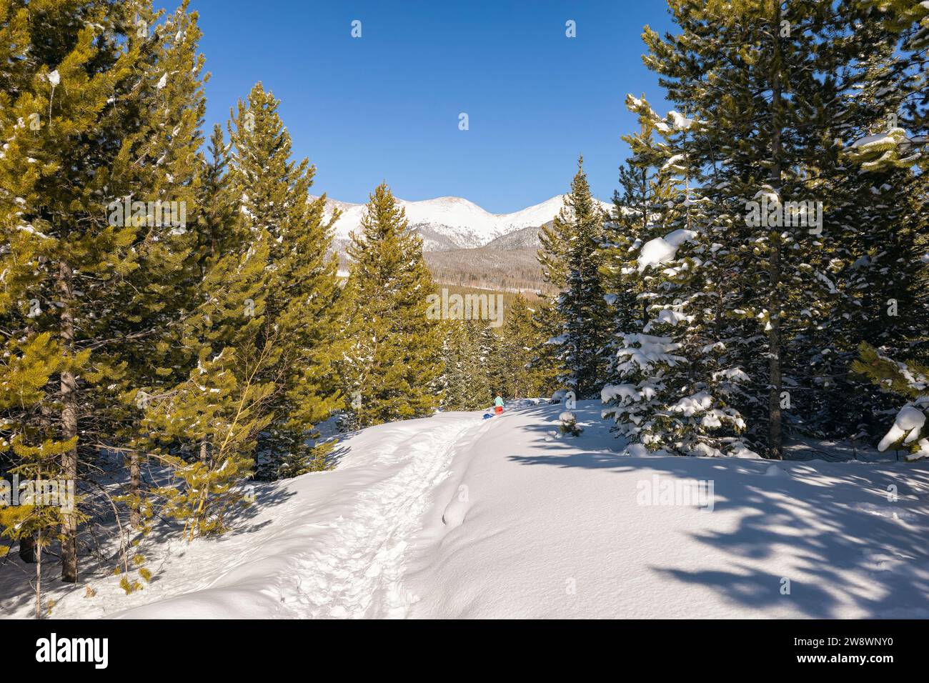 Paesaggio invernale nel Colorado settentrionale Foto Stock
