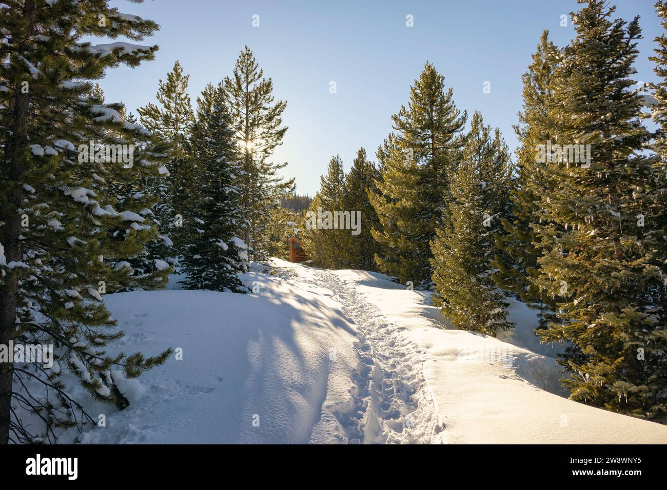 Soleggiato paesaggio invernale in Colorado Foto Stock