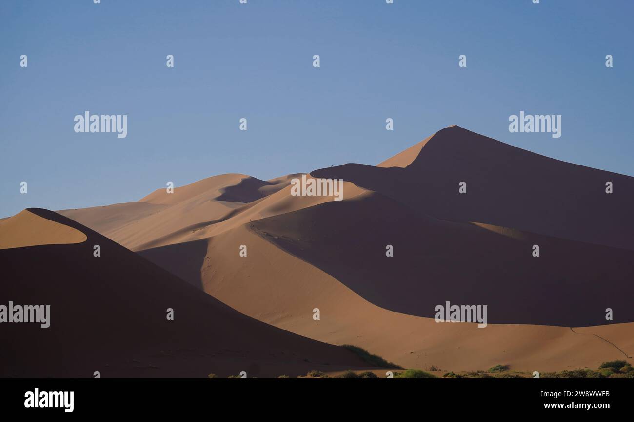 Big Daddy dune a Sossusvlei, Namibia Foto Stock