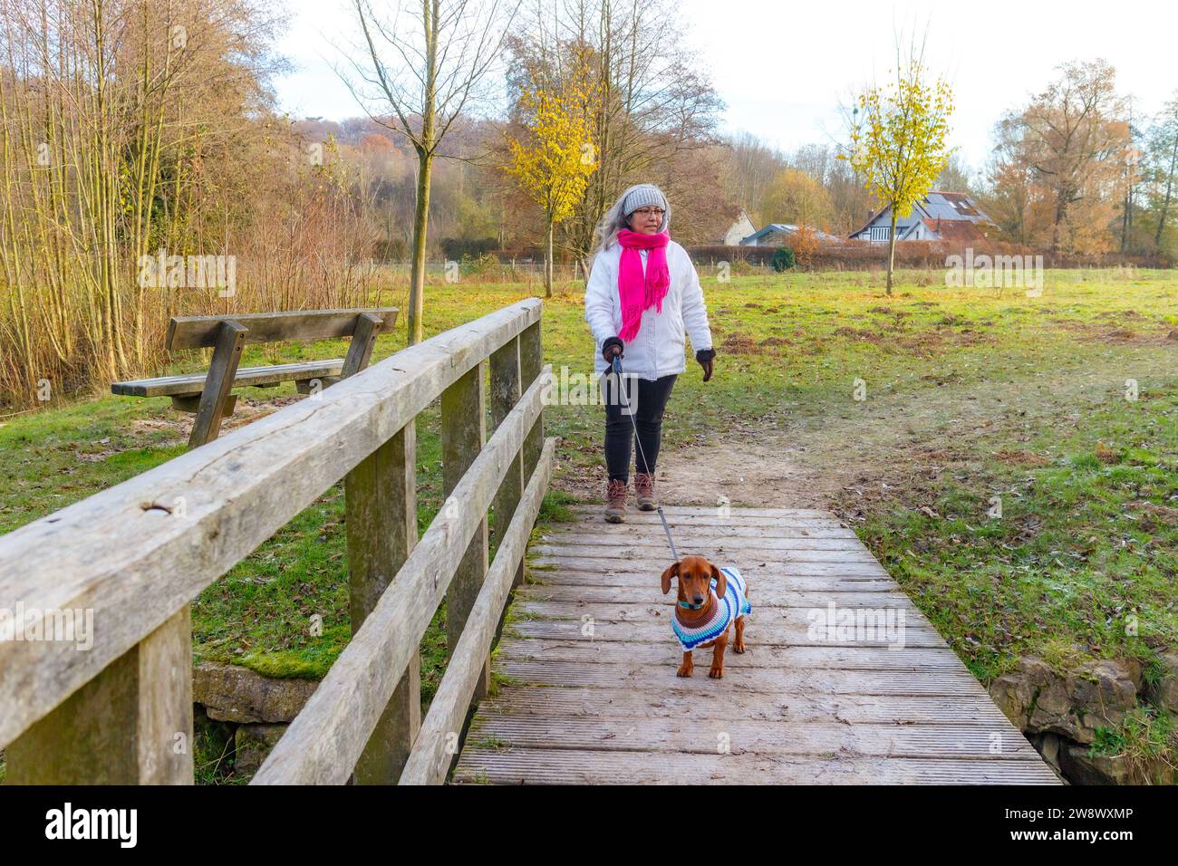 Donna che cammina con il suo dachshund verso un ponte di legno, la riserva naturale ecologica olandese Geleenbeekdal, alberi nudi sullo sfondo, giacca bianca, cenere rosa Foto Stock