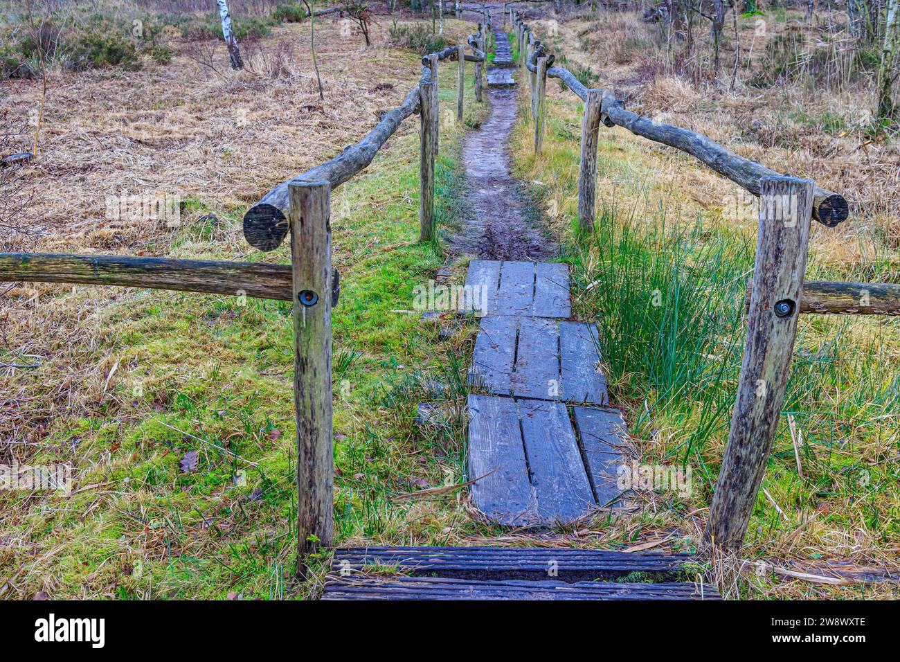 Prospettiva angolare superiore di un sentiero pedonale tra recinzioni in legno su pianura con terreno fangoso che svanisce sullo sfondo, nebbiosa giornata autunnale a Hoge Kempen n Foto Stock