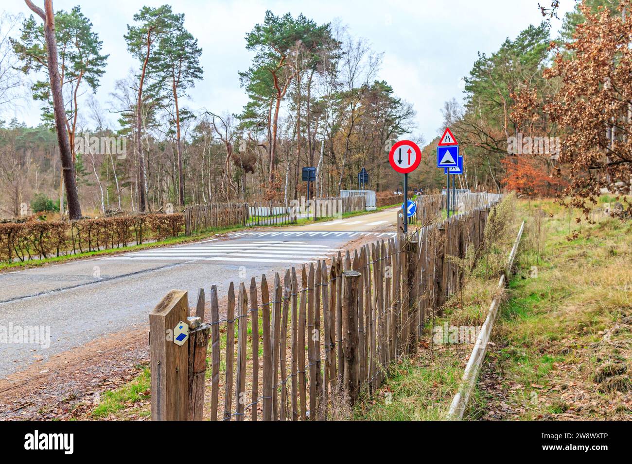 Strada rurale con recinzioni in legno tra l'area forestale del Parco Nazionale di Hoge Kempen, diverse indicazioni: Dossi di velocità, sentiero stretto, direzionale e preferentia Foto Stock