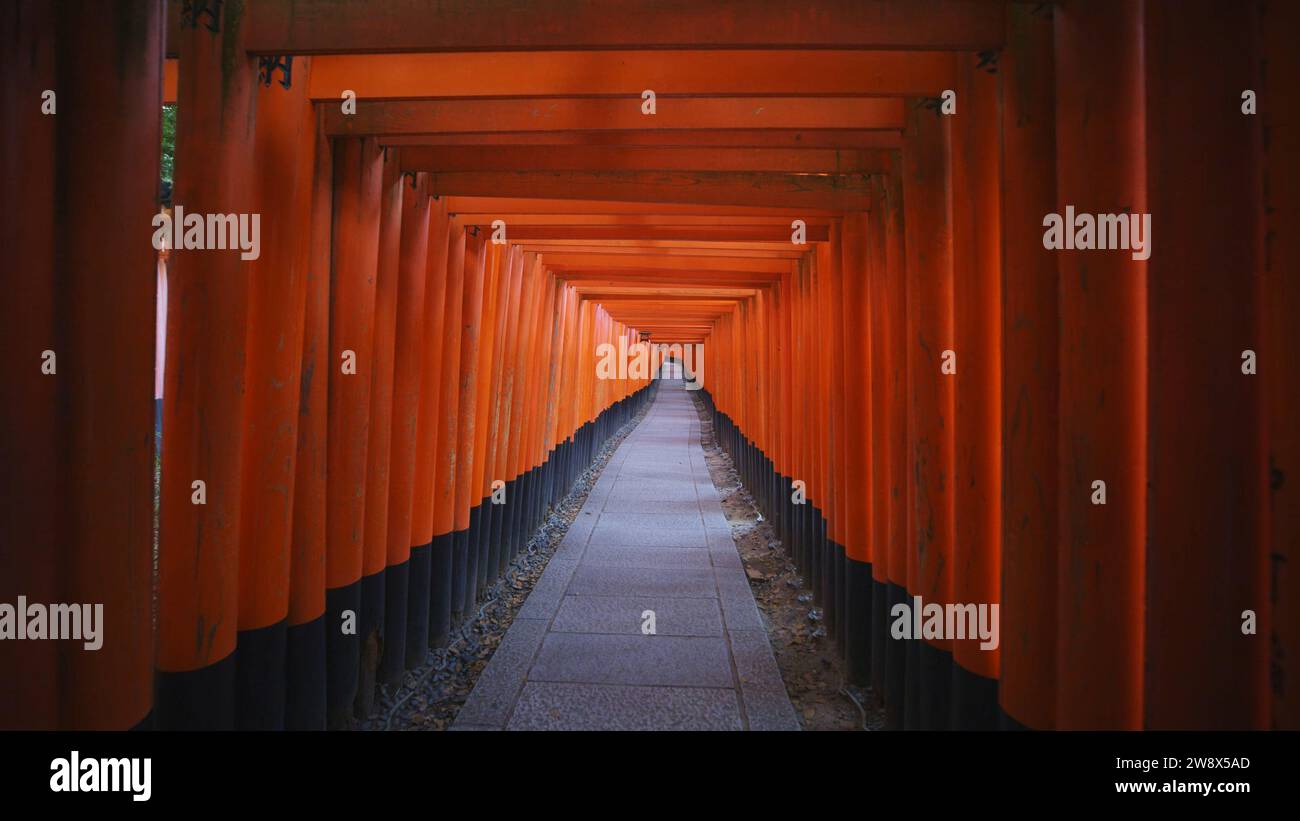 La bellezza dell'iconico Santuario Red Pillars di Kyoto, dove l'architettura tradizionale e i vivaci pilastri rossi creano uno spettacolo visivo mozzafiato. Foto Stock