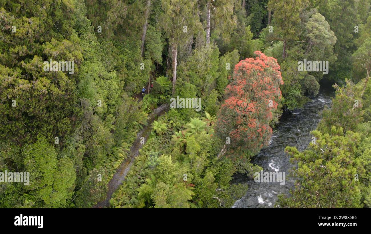 Percorso panoramico in mountain bike nelle Alpi mozzafiato, dove le meraviglie della natura si sviluppano in tutto il loro splendore Foto Stock