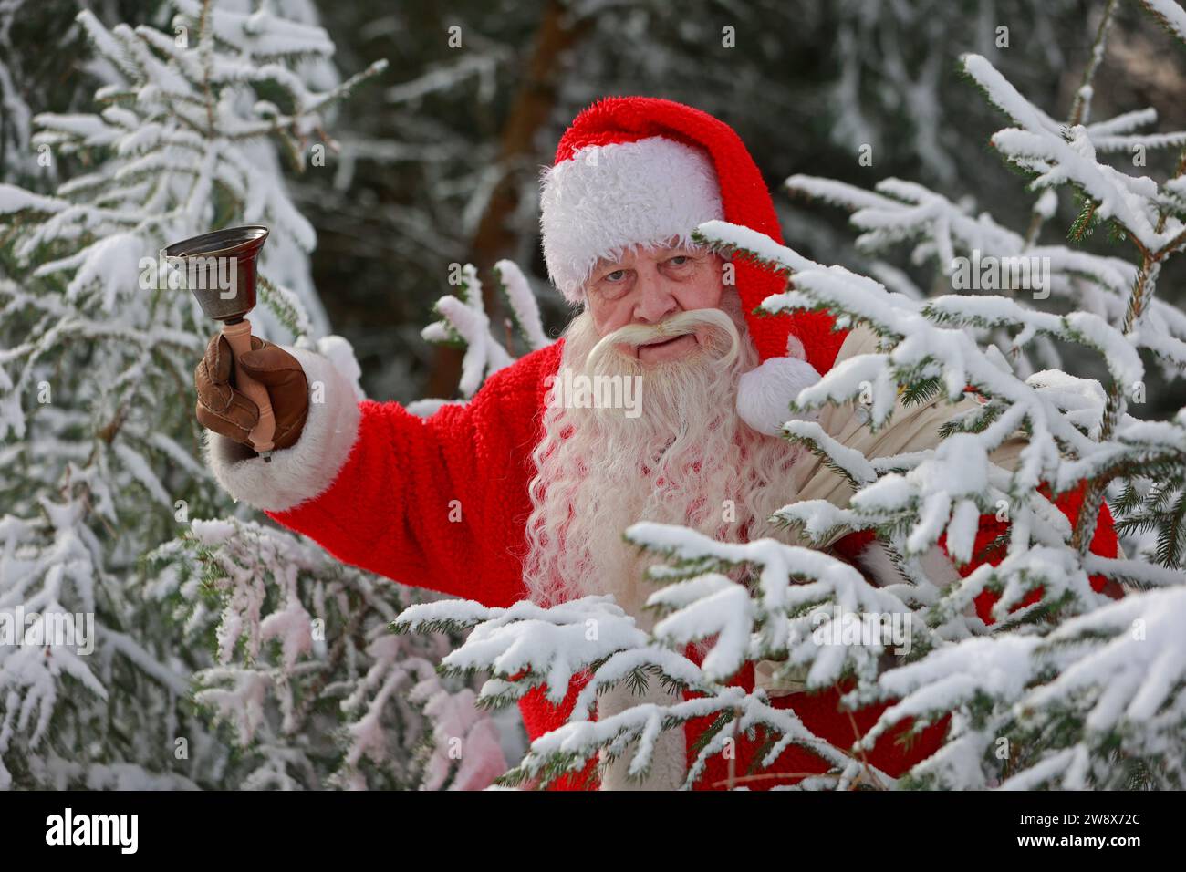 Schierke, Germania. 22 dicembre 2023. Uno dei Santas più longevi della Sassonia-Anhalt è Manfred Schultz di Blankenburg. Per segnare l'inizio dell'inverno, colse l'occasione per sorprendere uno o due ospiti nella nevosa Schierke. Schultz ha viaggiato nelle Harz Mountains nel periodo natalizio dal 1968. All'età di 79 anni, è lontano dal pensare di fermarsi e persino di percorrere lunghe distanze fino al Brocken. Crediti: Matthias Bein/dpa/Alamy Live News Foto Stock