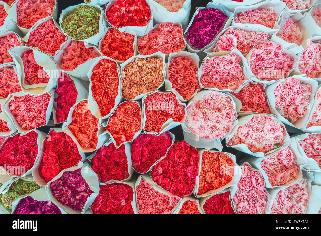 Molti mazzi di fiori di varie tonalità di rosso rosa e bianco di fiori di garofano di crisantemo Foto Stock