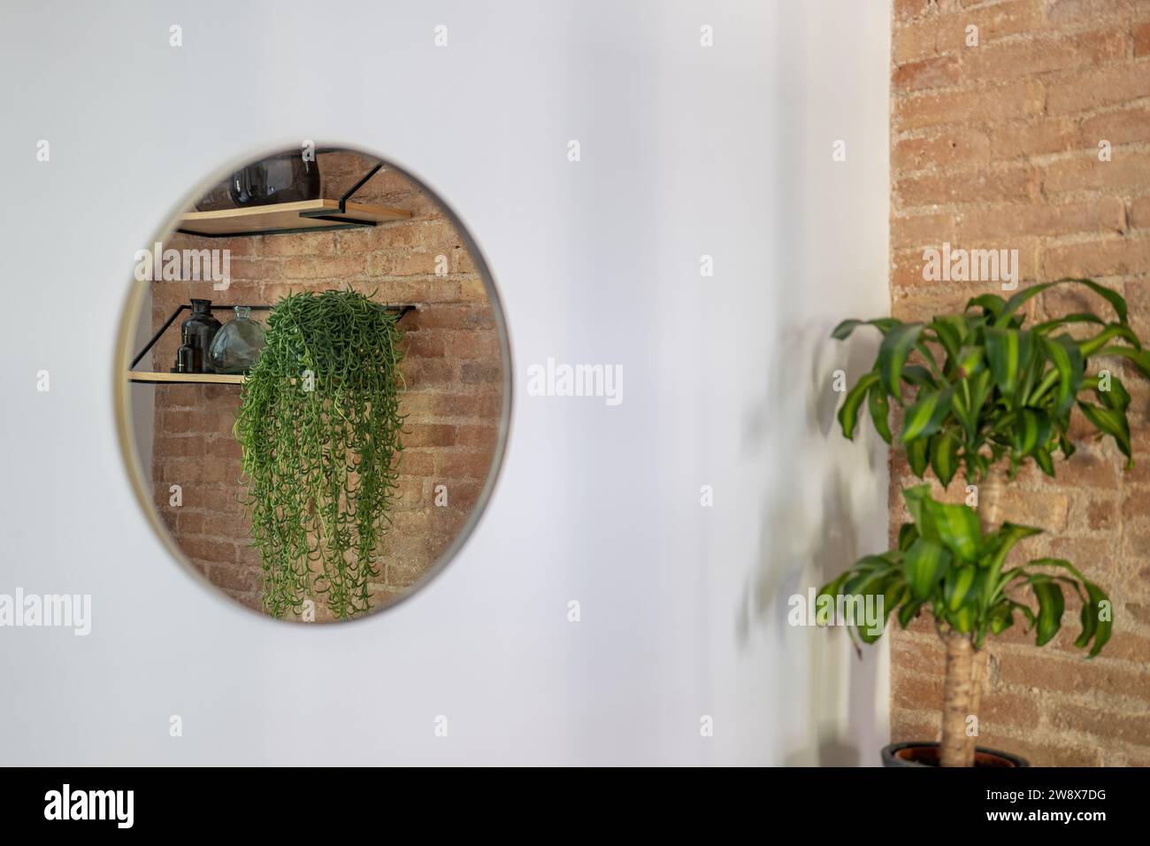 Specchio rotondo su parete dipinta di bianco con riflessi di piante domestiche Foto Stock