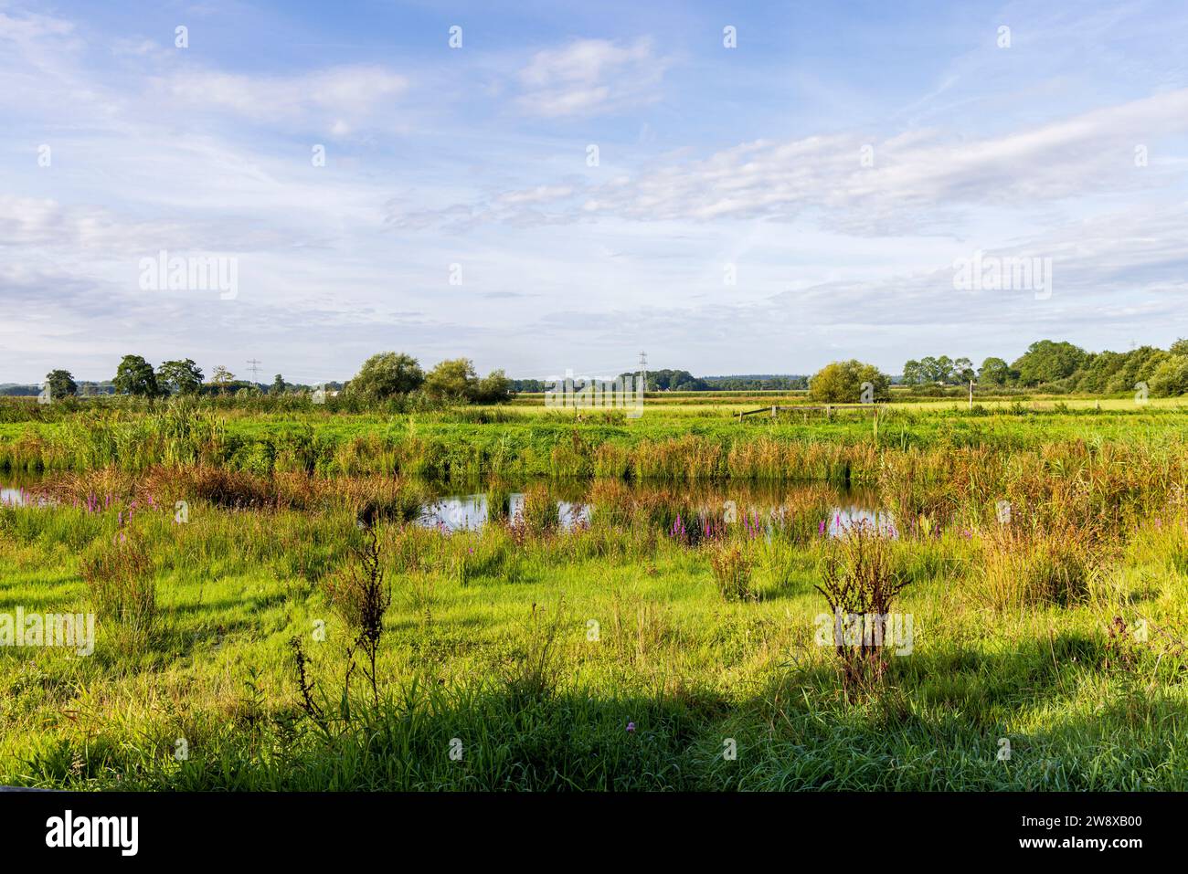 Area naturale Binnenveld tra Wageningen en Bennekom provincia di Gelderland nei Paesi Bassi Foto Stock
