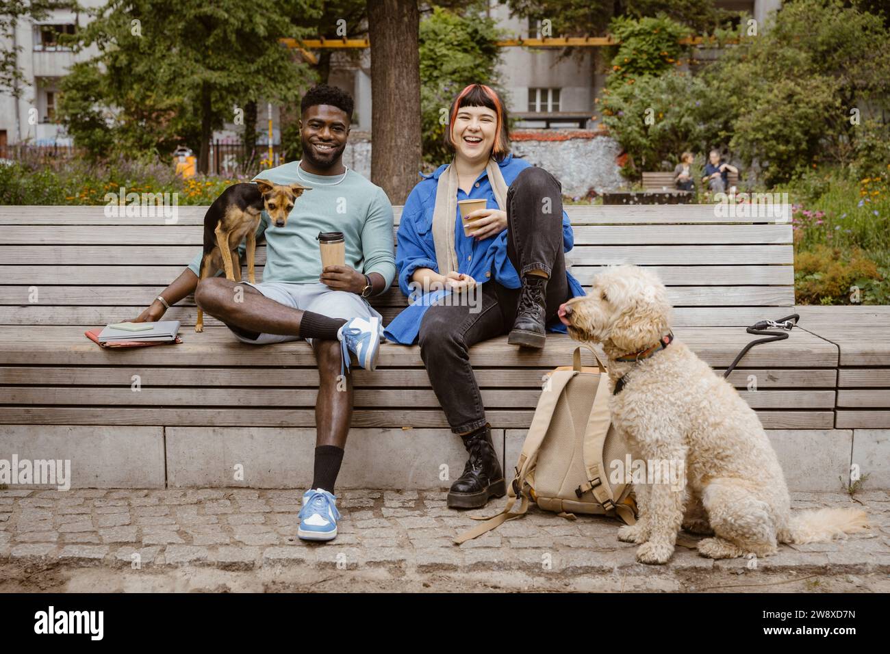Un giovane uomo e una donna felici che tengono tazze di caffè usa e getta seduti con i cani nel parco Foto Stock