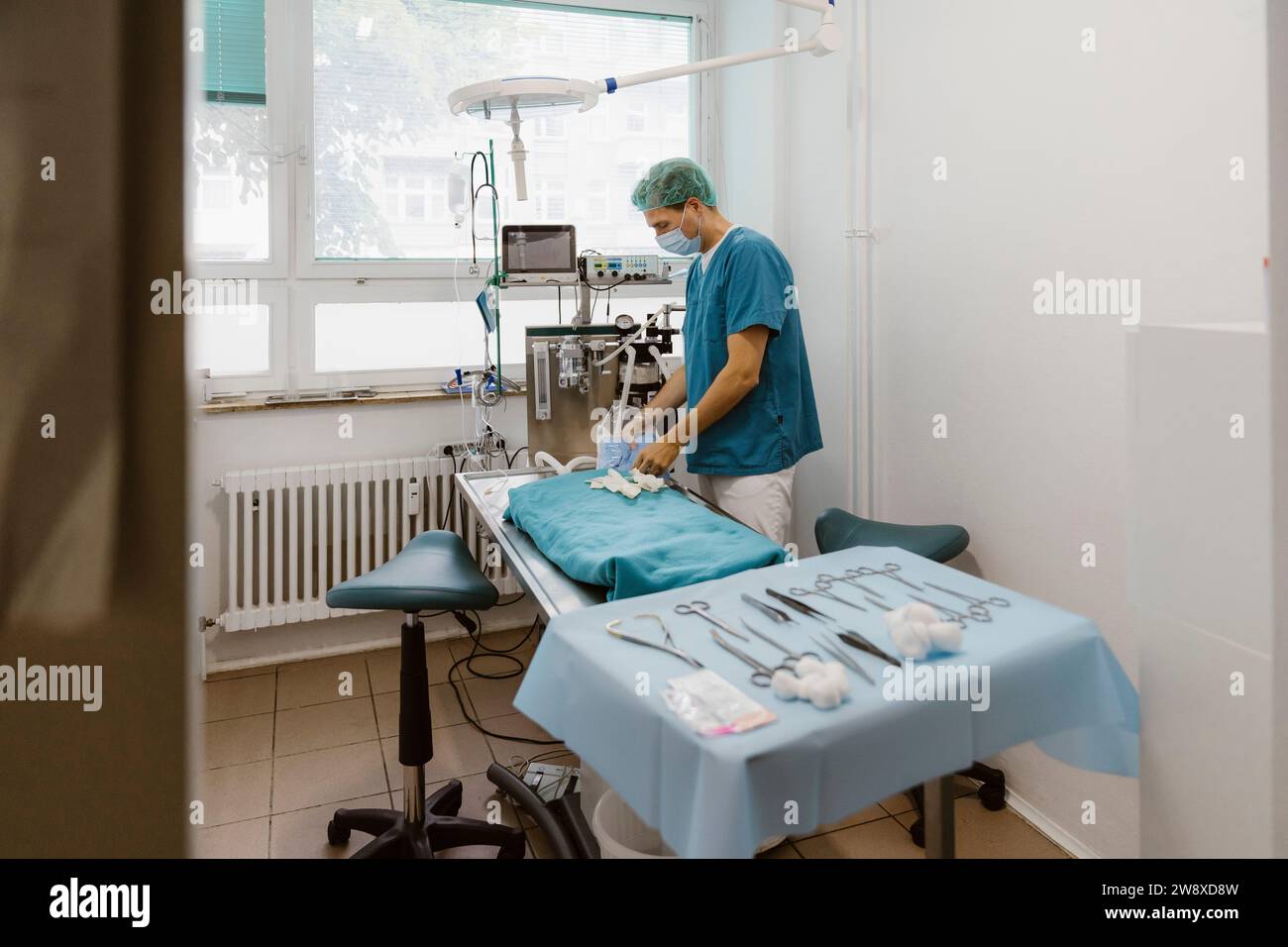 Chirurgo veterinario maschio che si prepara per la chirurgia in clinica medica Foto Stock