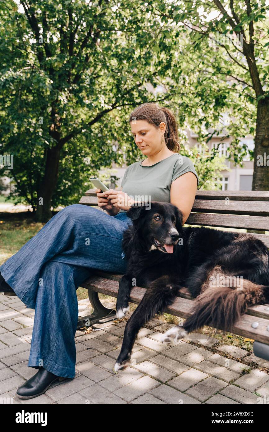 Donna matura con pastore australiano che usa uno smartphone sulla panchina nel parco Foto Stock