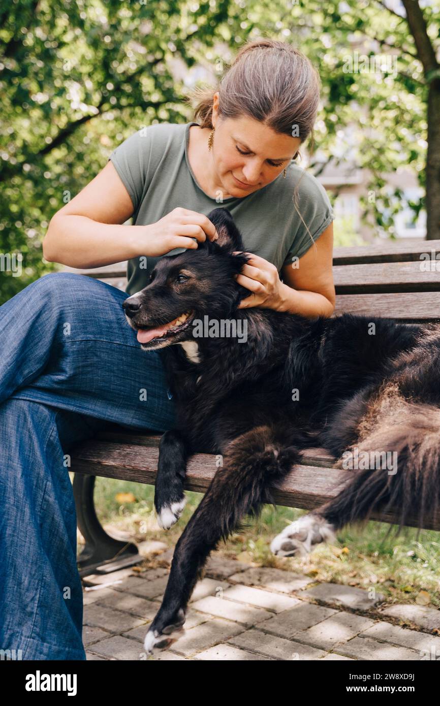 Donna matura che esamina l'orecchio del cane mentre è seduta sulla panchina nel parco Foto Stock