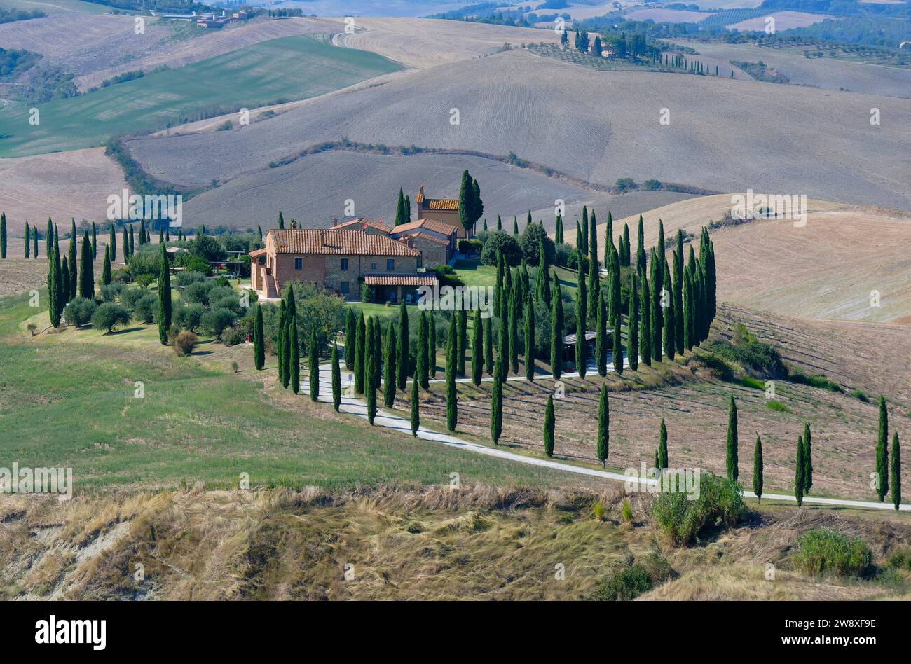 Asciano, cipressi e colline. Crete Senesi, Toscana, Italia Foto Stock
