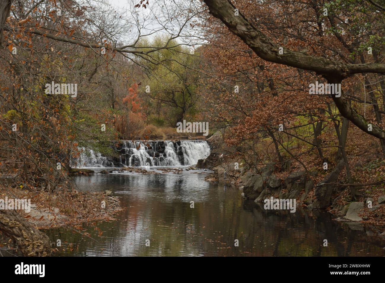 Bronx Zoo, novembre 2023 Foto Stock