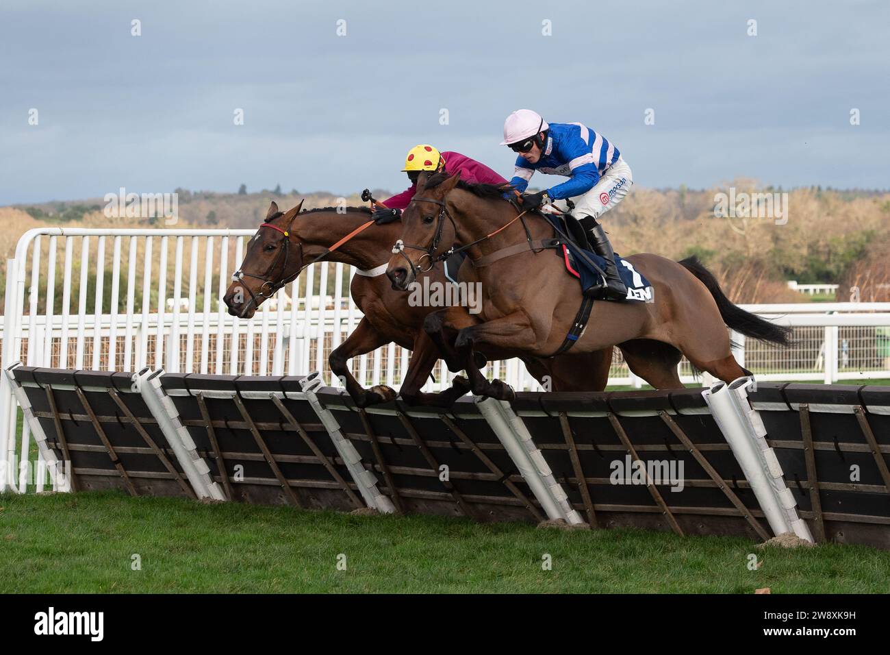 Ascot, Berkshire, Regno Unito. 22 dicembre 2023. Horse Welcom to Cartries (No 11) guidato dal fantino Harry Cobden vince la Howden Maiden Race all'ippodromo di Ascot all'Howden Christmas Racing Weekend. Proprietario, signora Johnny de la Hey. Allenatore Paul Nicholls, Ditcheat. Allevatore T Eluard e G Eluard. Sponsor Morson Group. Credito: Maureen McLean/Alamy Live News Foto Stock