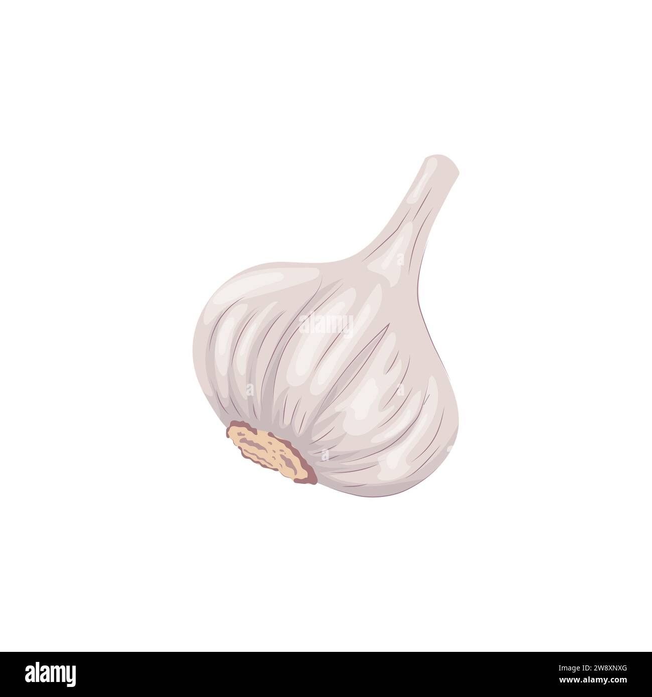 Bulbo all'aglio isolato su sfondo bianco. Illustrazione vettoriale a colori del bulbo d'aglio in stile piatto a cartoni animati. Icona illustrazione vegetale Illustrazione Vettoriale