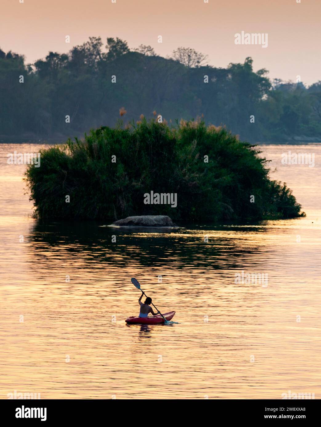 Silhouette di una persona in kayak, pagaiando lungo le calme acque del Mekong, nell'arcipelago si Phan Don, attraverso raggi di luce dorata riflessa Foto Stock