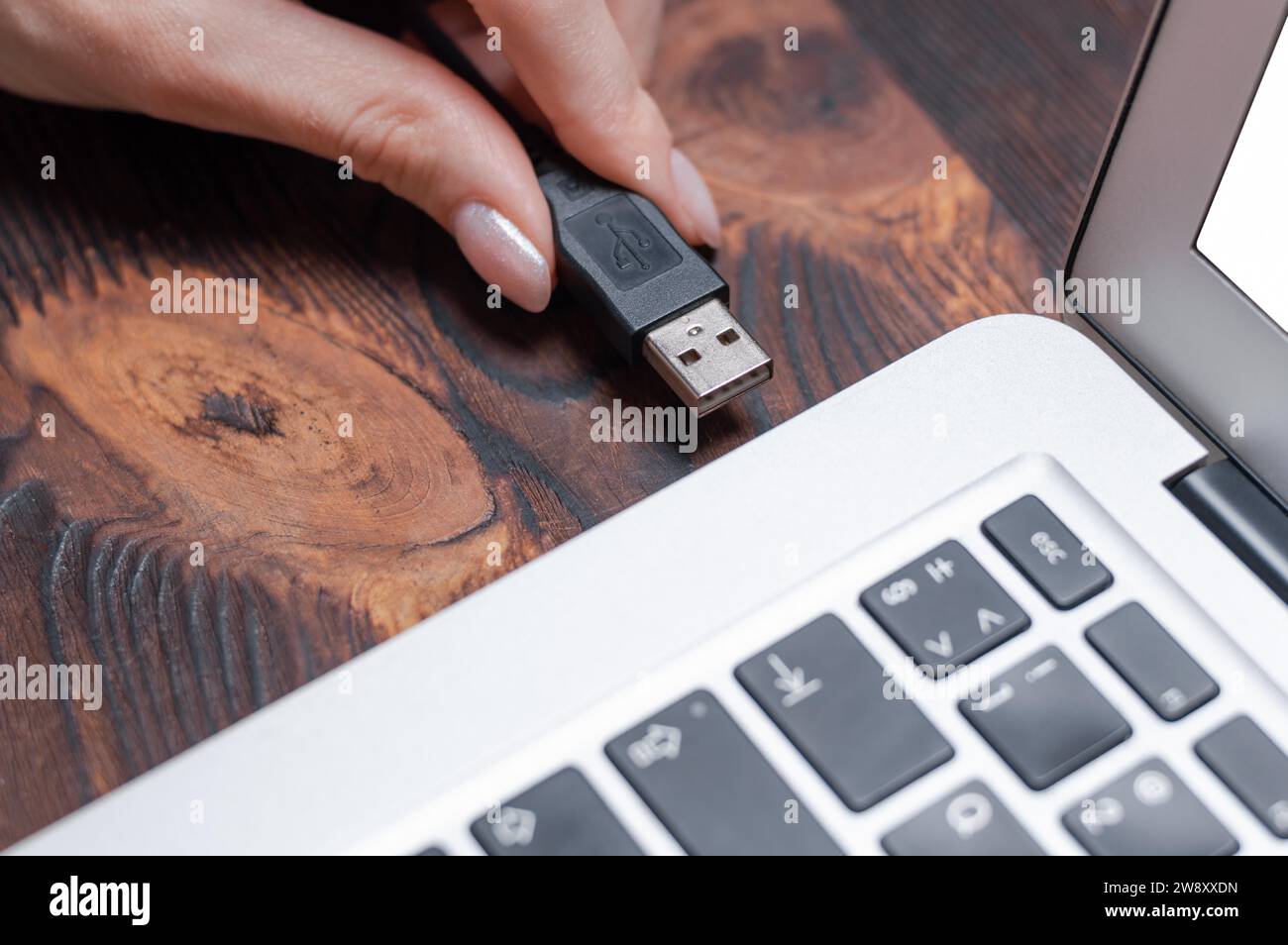 Immagine di un cavo usb collegato alla porta di un computer portatile. Il concetto di modi moderni e ultrarapidi di trasmettere informazioni. Supporti misti Foto Stock