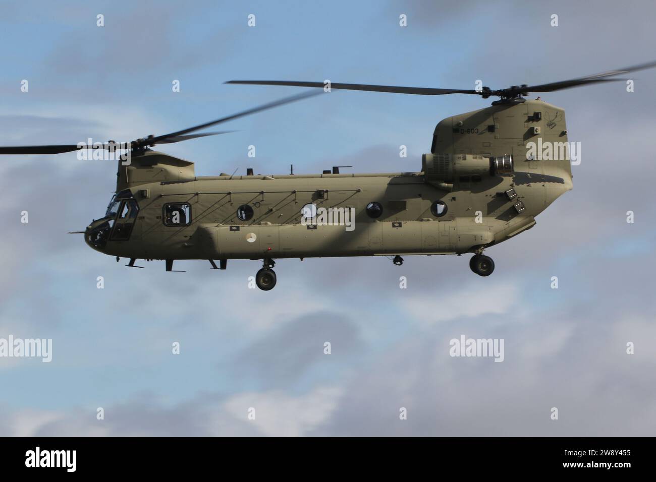 D-603, un elicottero pesante Boeing CH-47F Chinook operato dalla Royal Netherlands Air Force (RNLAF), in partenza dalla RAF Fairford nel Gloucestershire, Inghilterra dopo aver partecipato al Royal International Air Tattoo 2023 (RIAT 2023). Foto Stock