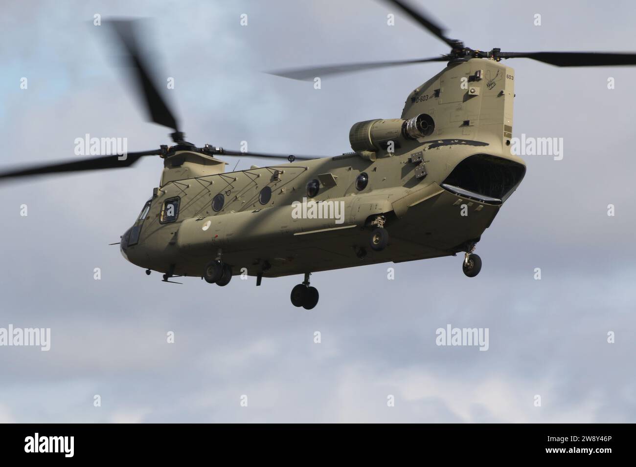 D-603, un elicottero pesante Boeing CH-47F Chinook operato dalla Royal Netherlands Air Force (RNLAF), in partenza dalla RAF Fairford nel Gloucestershire, Inghilterra dopo aver partecipato al Royal International Air Tattoo 2023 (RIAT 2023). Foto Stock