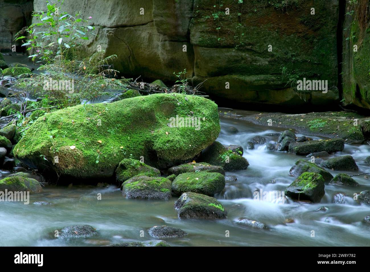 Liebethaler Grund vicino a Lohmen, nella Svizzera sassone Foto Stock