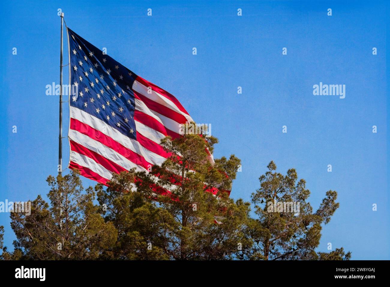 Freedom, Liberty e Independence sono rappresentati da una bandiera degli Stati Uniti: Unique View. Parzialmente oscurata da un albero molto alto è una massiccia bandiera degli Stati Uniti. Foto Stock