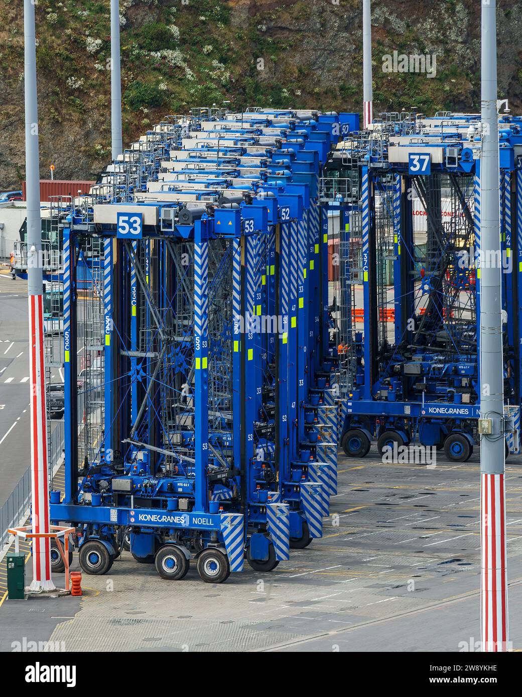 Gru a cavallo in attesa di andare a lavorare al porto di Lyttleton Foto Stock