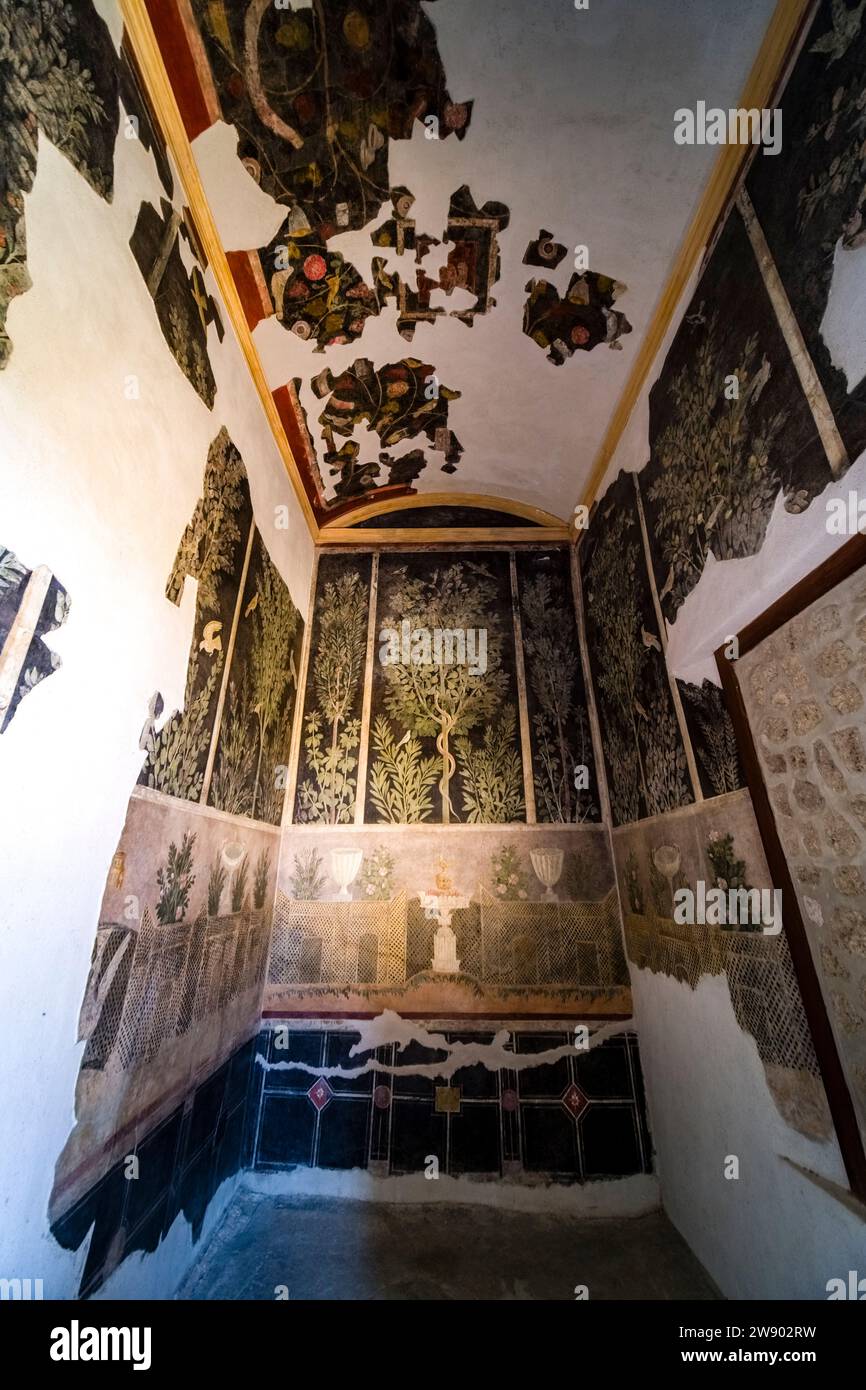 Rovine della Casa del Frutteto nel sito archeologico di Pompei, antica città distrutta dall'eruzione del Vesuvio nel 79 d.C. Foto Stock