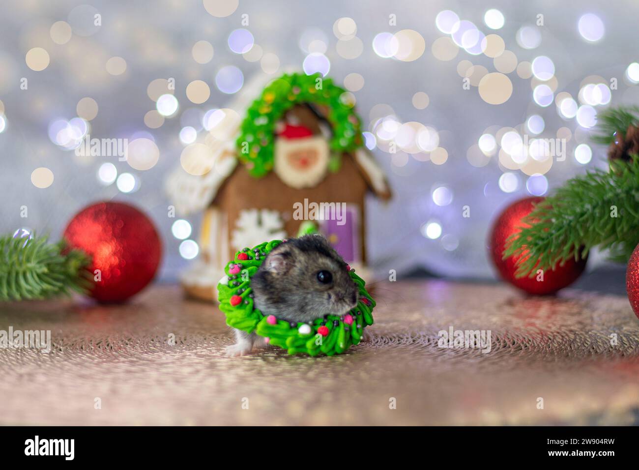 Un piccolo criceto grigio con una decorazione verde dolce sul collo su uno sfondo di decorazioni dell'albero di Natale e bokeh. Natale o Capodanno. messa a fuoco morbida Foto Stock
