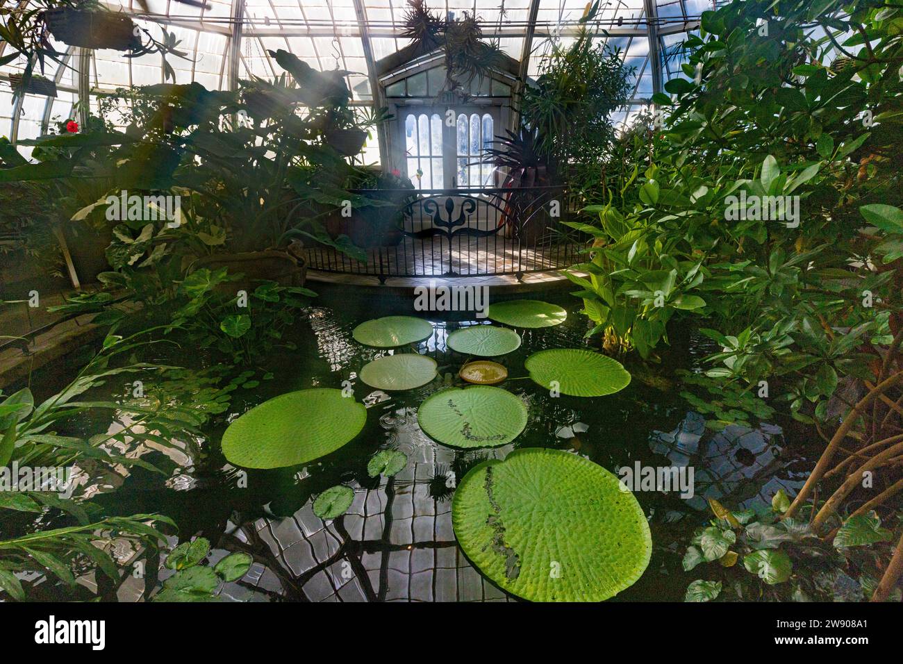Il Conservatory of Flowers è una serra e un giardino botanico che ospita una collezione di piante rare ed esotiche nel Golden Gate Park, con strutture costruttive Foto Stock