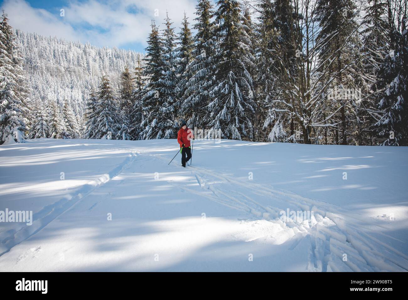 Giovane sciatore di fondo adulto di 20-25 anni, che fa la sua pista nella neve profonda nella natura selvaggia durante il sole mattutino sulle montagne di Beskydy, Cec Foto Stock