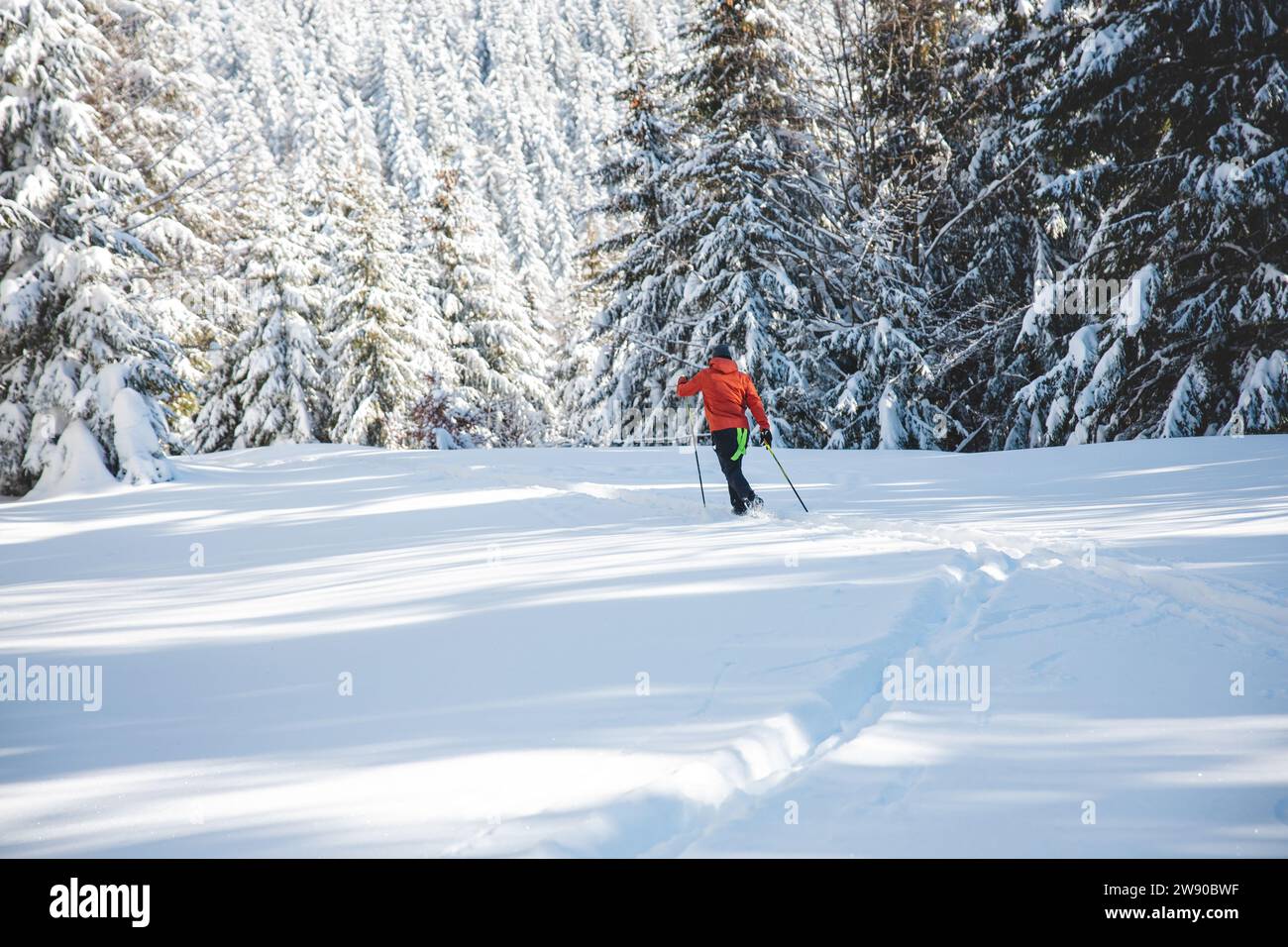 Giovane sciatore di fondo adulto di 20-25 anni, che fa la sua pista nella neve profonda nella natura selvaggia durante il sole mattutino sulle montagne di Beskydy, Cec Foto Stock