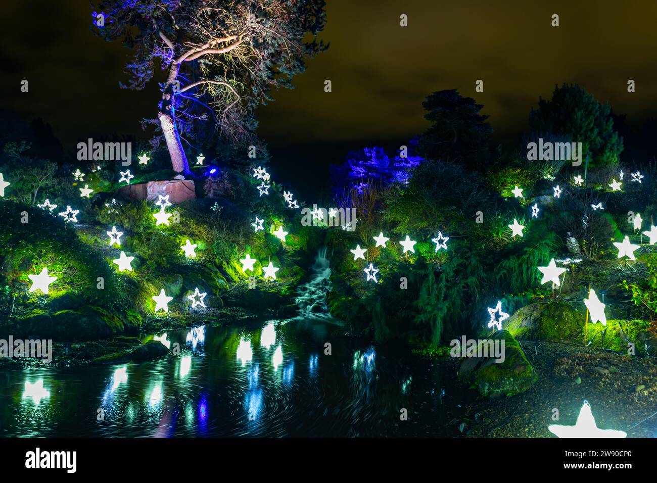 Luci natalizie ai Giardini Botanici di Edimburgo Foto Stock