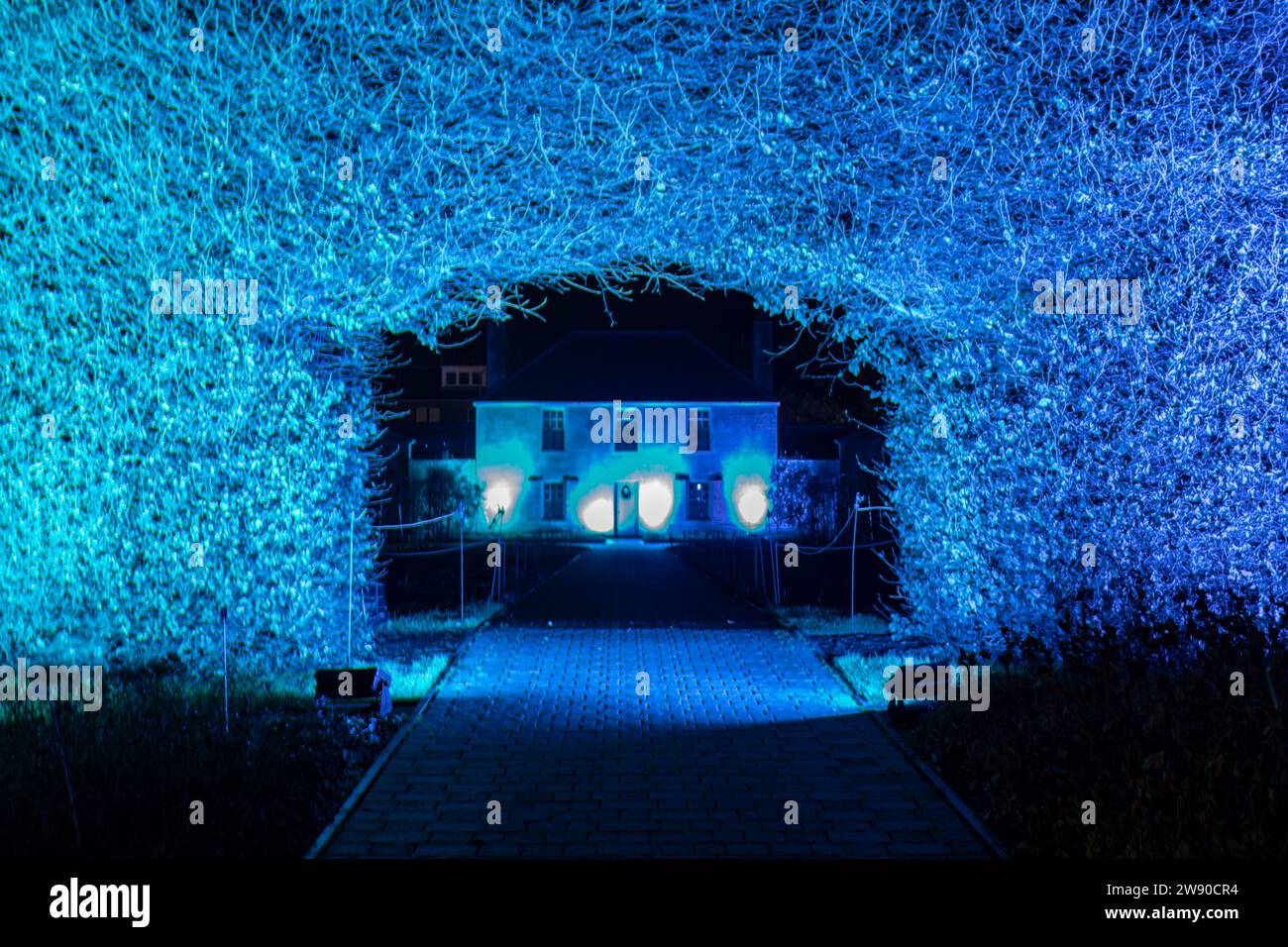 Luci natalizie ai Giardini Botanici di Edimburgo Foto Stock