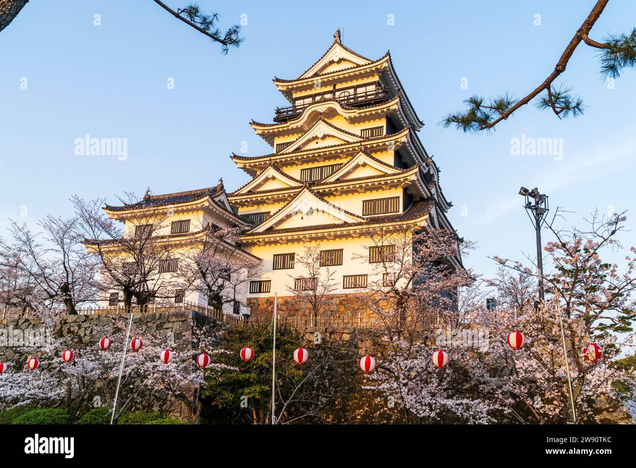 Castello di Fukuyama, Giappone. La tenda bianca illuminata dal sole nascente. Circondato da fiori di ciliegio con file di lanterne appese tra gli alberi. Foto Stock