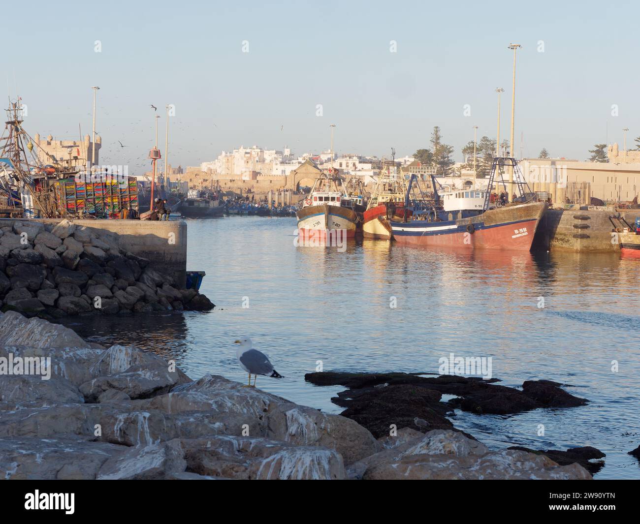 Pescherecci da traino nel porto con la medina alle spalle a Essaouira, Marocco. 22 dicembre 2023 Foto Stock