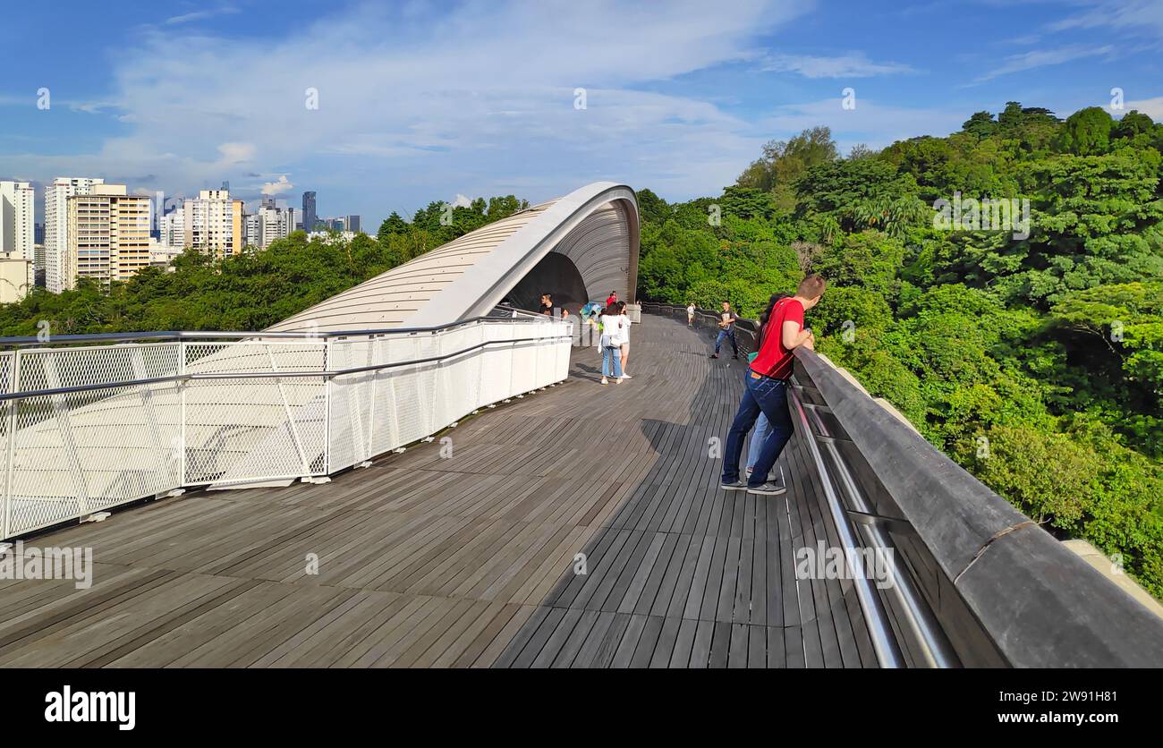 Singapore - 09 settembre 2018: Henderson Waves è un ponte pedonale a forma d'onda di 36 m che collega il Parco del Monte Faber al Parco Telok Blangah Hill. Foto Stock