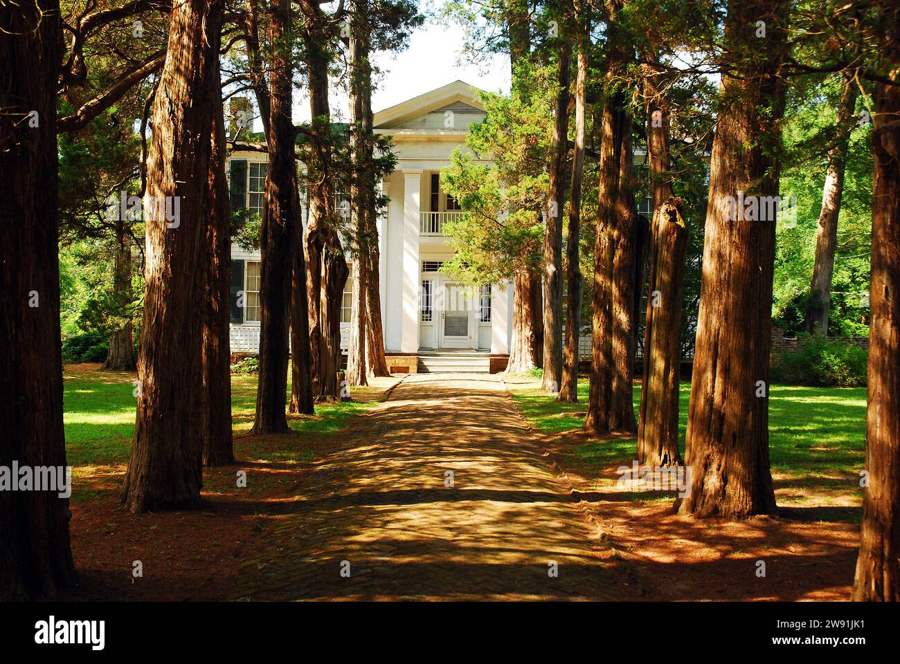 Un sentiero alberato conduce a Rowan Oak, la casa dell'autore William Faulkner ad Oxford, Mississippi Foto Stock