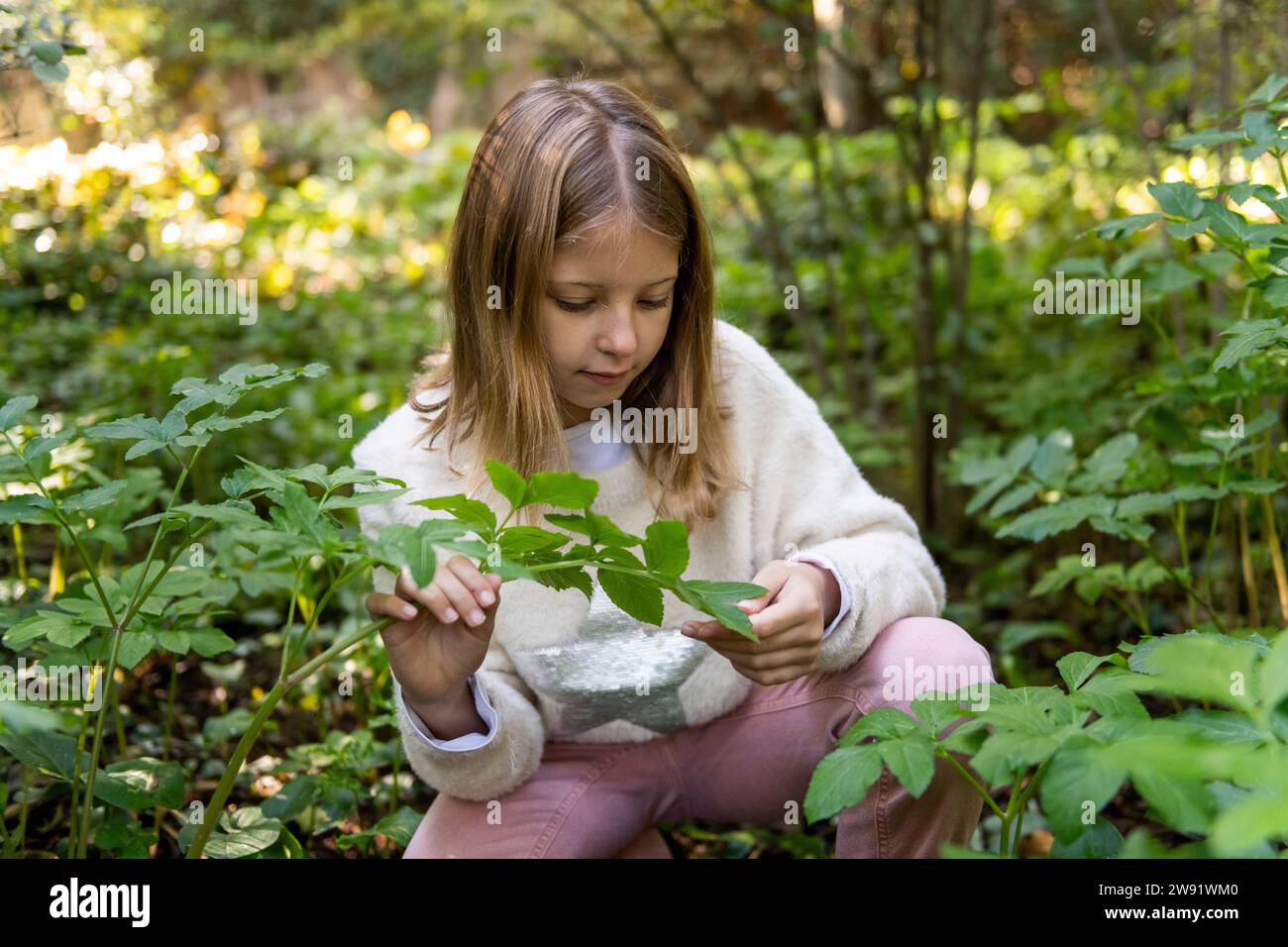 Ragazza che tocca foglie di pianta Foto Stock